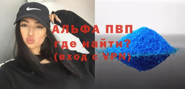 гидра Алексин
